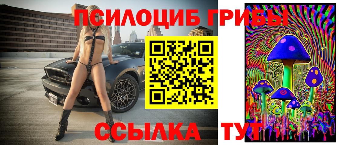 Павлово  Галлюциногенные грибы прущие грибы  Вход с VPN 